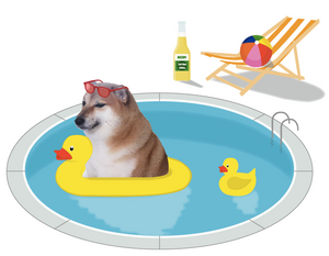 Balltze Cheems Meme Swimming Pool Hoodies